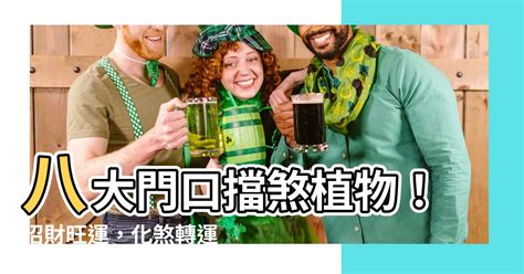 室外擋煞植物|【風水特輯】化煞開運就靠它們！玄關、客廳、廚房、。